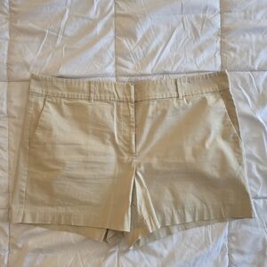 Ann Taylor Women's Chino Shorts 16